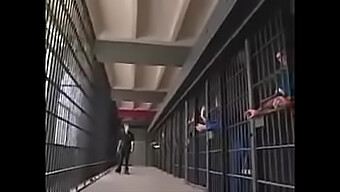 Belladonna And Co. Indulge In Group Sex In Prison