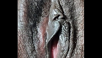 Vagina in focus - a close-up view of intense fucking